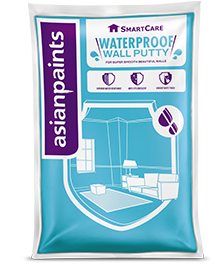 SmartCare Waterproofing Putty
